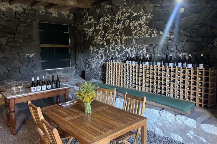 Classic Tasting of 4 Volcanic Wines at Solar Terra Brum in Pico