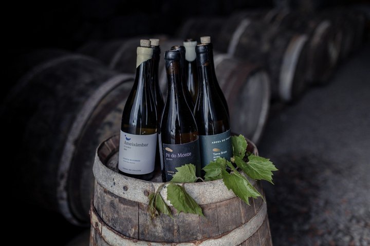 Classic Tasting of 4 Volcanic Wines at Solar Terra Brum in Pico