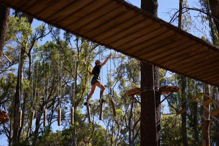Forest Adventures
