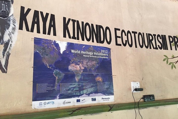 Diani Beach: Kaya Kinondo Sacred Forest Guided Tour