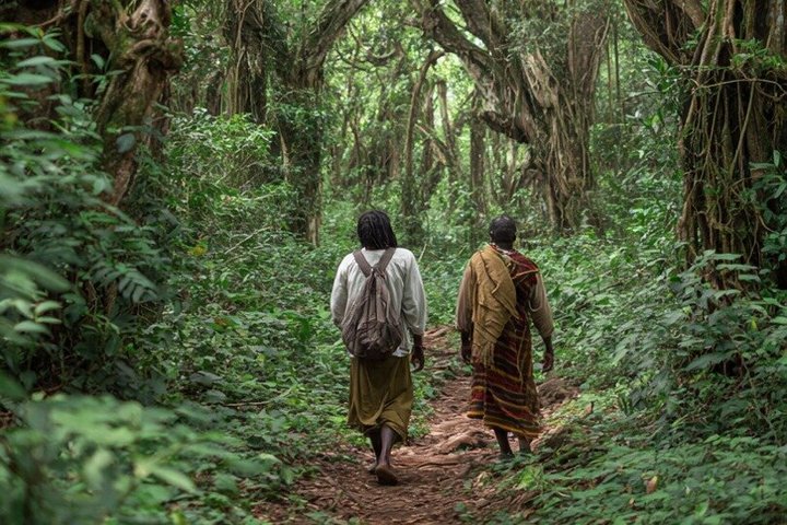 Diani Beach: Kaya Kinondo Sacred Forest Guided Tour
