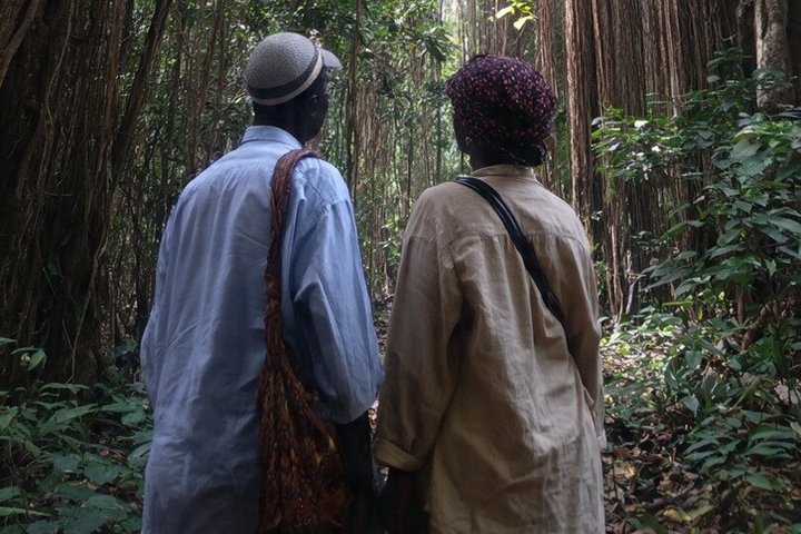 Diani Beach: Kaya Kinondo Sacred Forest Guided Tour