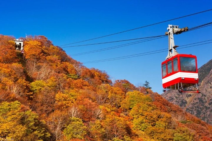 From Tokyo Private Nikko Shrines and Nature Day Tour