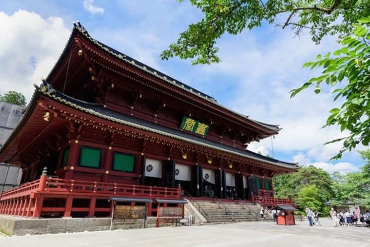 From Tokyo Private Nikko Shrines and Nature Day Tour