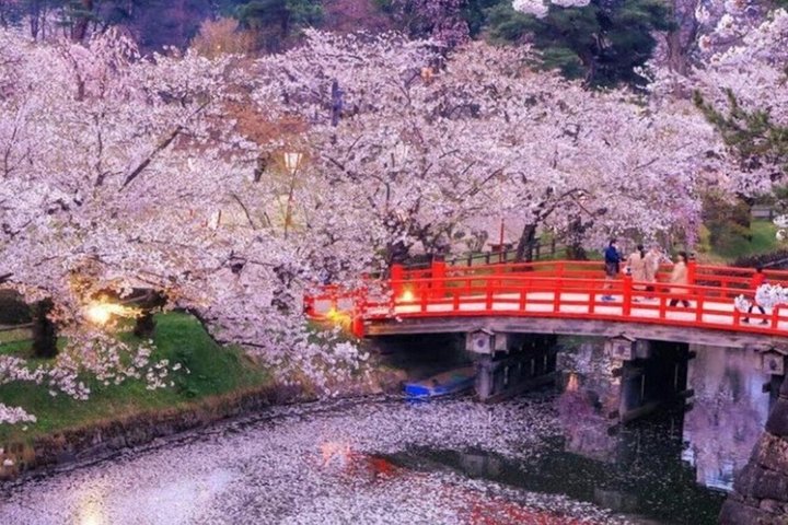 From Tokyo Private Nikko Shrines and Nature Day Tour