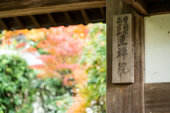 Uji Matcha Tasting & Tea Ceremony with Former Geiko + Uji Walk