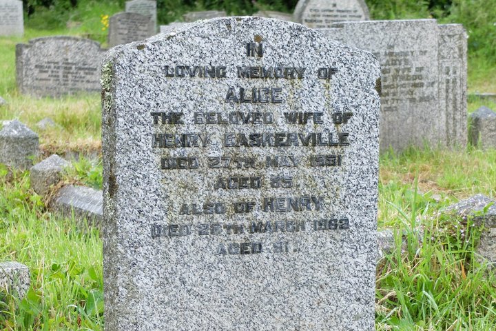 Dartmoor National Park and the Hound of the Baskervilles