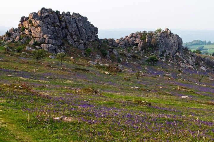 Dartmoor National Park and the Hound of the Baskervilles