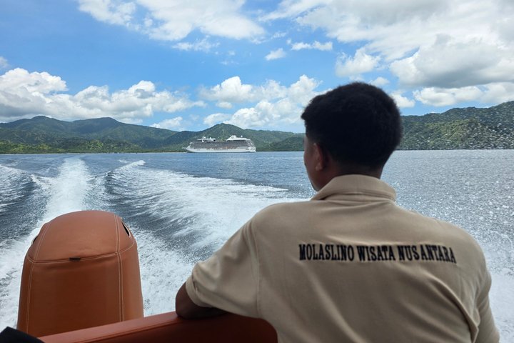 Komodo Island Shore Excursion for Cruise Ship Passengers