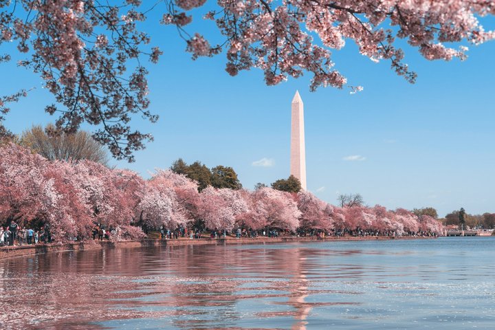 DC in a Day: 10+ Monuments, Boat Cruise, National Mall, Tickets