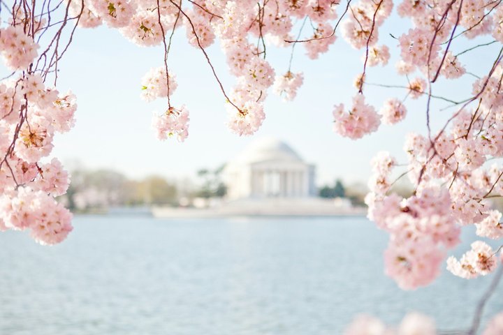 DC in a Day: 10+ Monuments, Boat Cruise, National Mall, Tickets