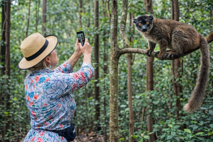 3 Days Andasibe Mantadia Private Tour