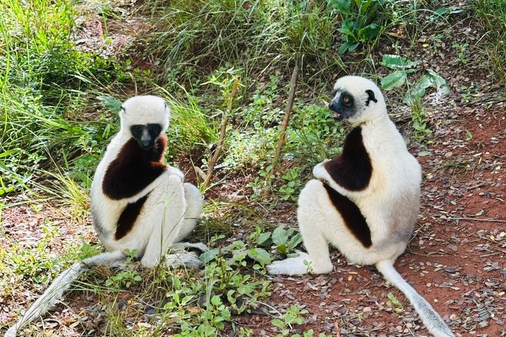 3 Days Andasibe Mantadia Private Tour