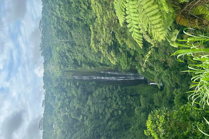 Samoa Half Day Island Tour