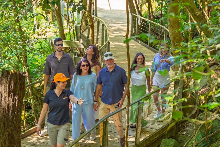 Blue Mountains Small Group All Inclusive with Local Guide