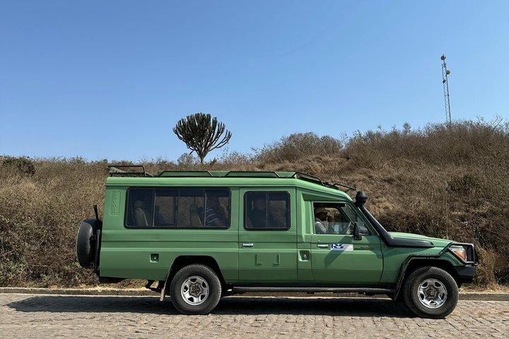 Private Safari and Game Drive Masai Mara