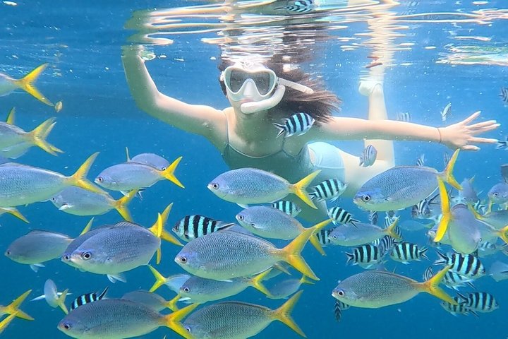 Three Day Snorkeling Tour