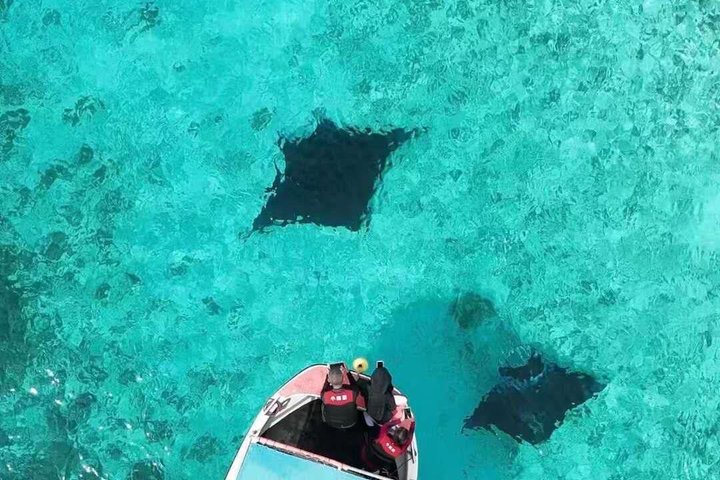 Three Day Snorkeling Tour