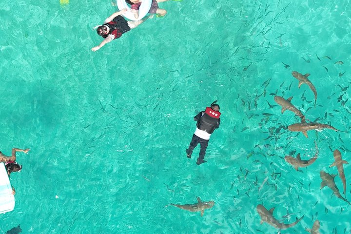 Three Day Snorkeling Tour