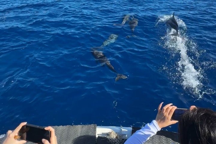 Three Day Snorkeling Tour