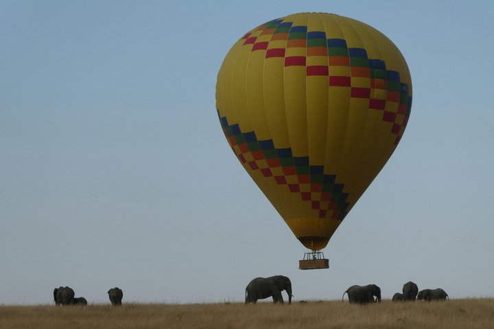 Private Safari and Game Drive Masai Mara