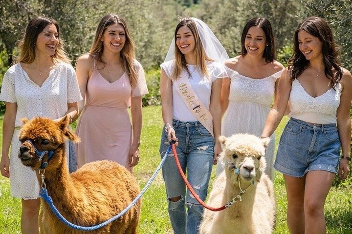Exclusive Hen Party with Alpaca and Aperitif in Tuscany
