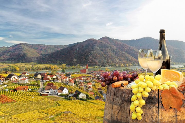Wachau Beauty & Medieval Heritage – Dürnstein Private Shore Tour
