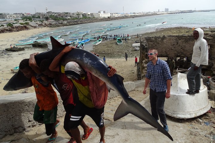 Visit Somalia & Djibouti: Five Day Tour Highlights