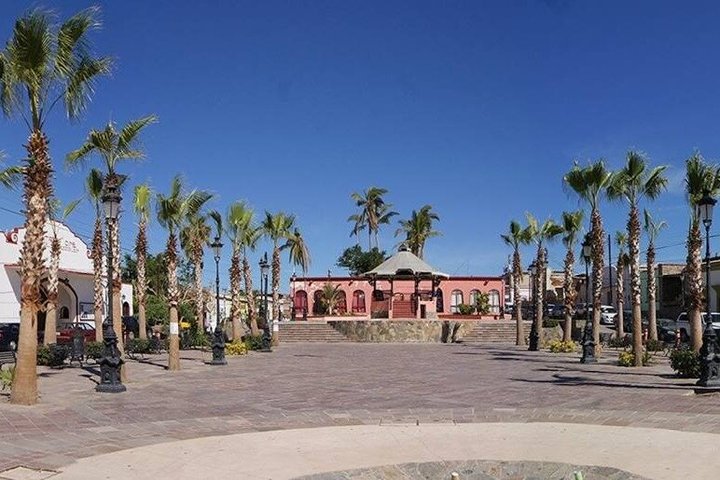 Todos Santos Private Cultural Tour