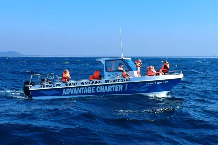 Whale Watching Boat Tour in St Lucia South Africa