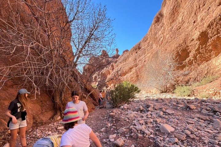 Private Hike to Monkey Fingers Canyon