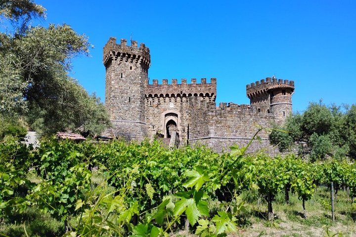 Wine Tours for 6 Hours and Private Transportation Services