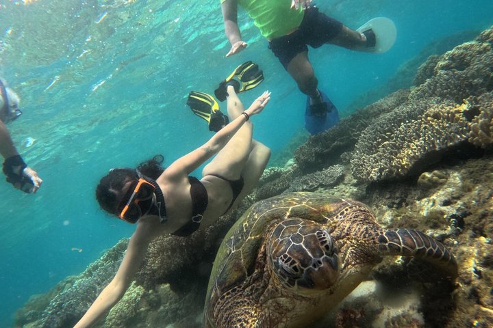Dumaguete Apo Island Adventure