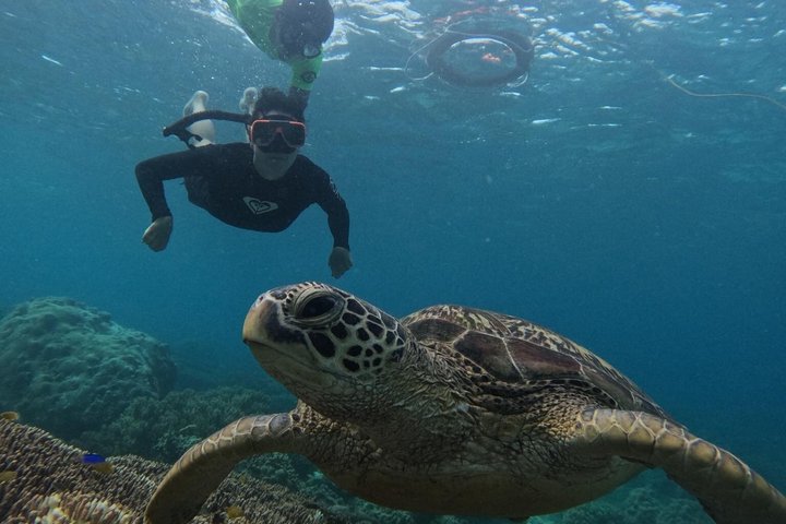 Dumaguete Apo Island Adventure