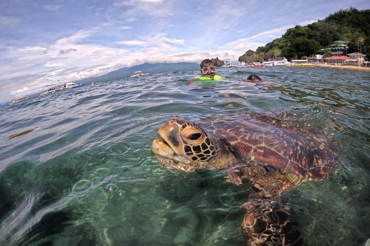 Dumaguete Apo Island Adventure