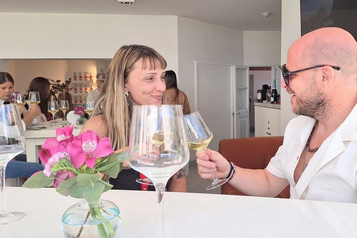 Private Mendoza WineTour: 3 Premium Wineries Michelin-Guide Lunch