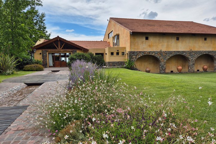 Private Mendoza WineTour: 3 Premium Wineries Michelin-Guide Lunch