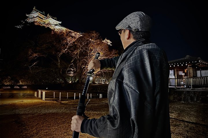 Wakayama Castle Samurai Photo Experience (Small Group, 90 Min)