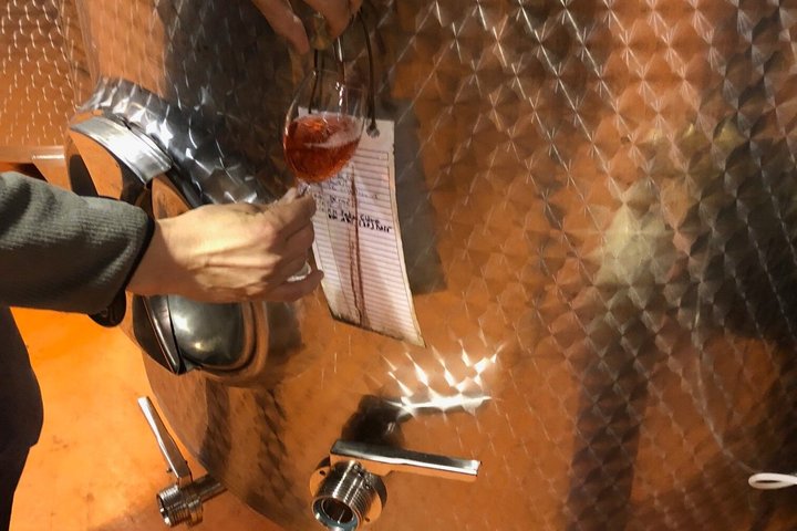 Private Bohemia Wine Tour from Prague with Gourmet Tastings