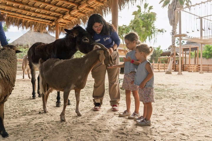 Cabo Kids Adventure Park Experience and Beach Club