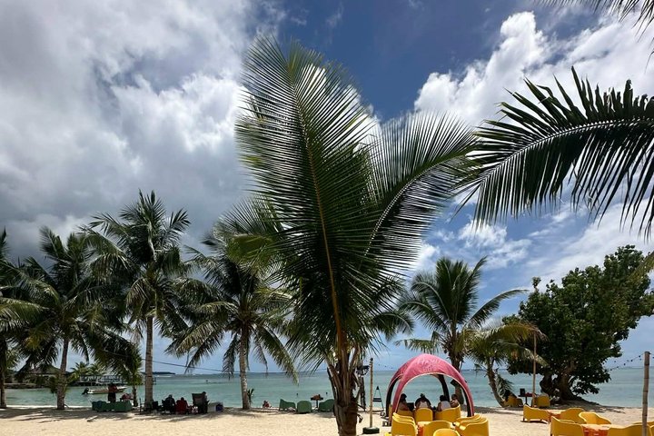 AlexNLolos Transport & Tours – Apia Samoa Shore Excursion
