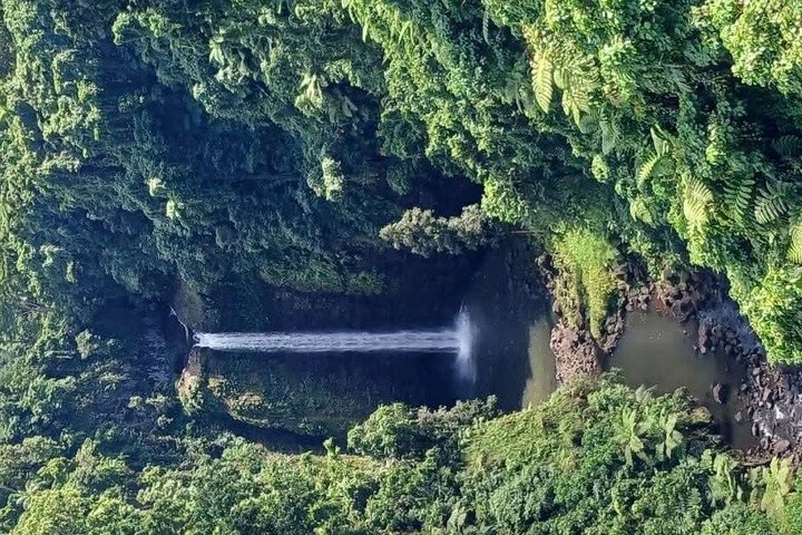AlexNLolos Transport & Tours – Apia Samoa Shore Excursion