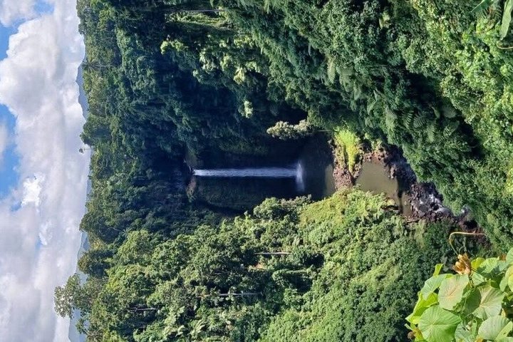 AlexNLolos Transport & Tours – Apia Samoa Shore Excursion