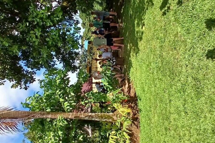 AlexNLolos Transport & Tours – Apia Samoa Shore Excursion
