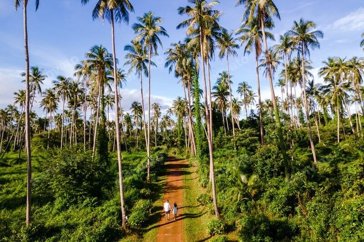 Ella to Tissamaharama / katharagama / Yala Transfers