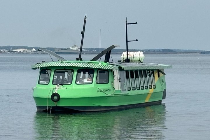 Solar harbour cruise with live music! (Optional lunch/dinner)