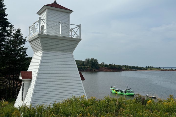Solar harbour cruise with live music! (Optional lunch/dinner)