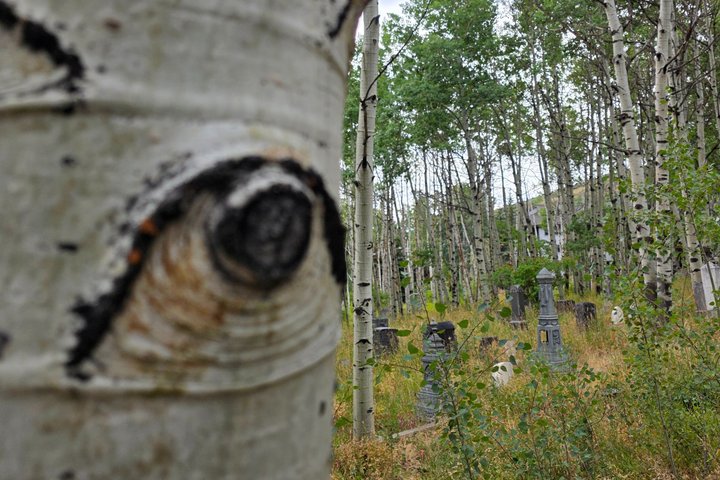 Guided Urban Art and Historical E-Bike Tour in Park City