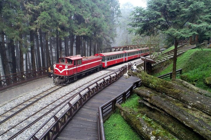 Alishan Forest Railway Main Line Ticket (One Way)