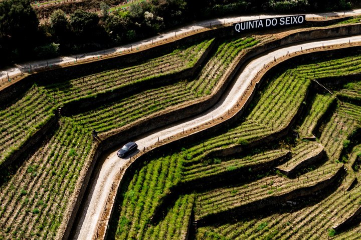 Porto - Douro Valley: Boat, Train, Wine Tasting & Lunch Included